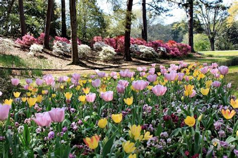 Callaway Gardens Ga Atlanta Botanical Garden Botanical Gardens