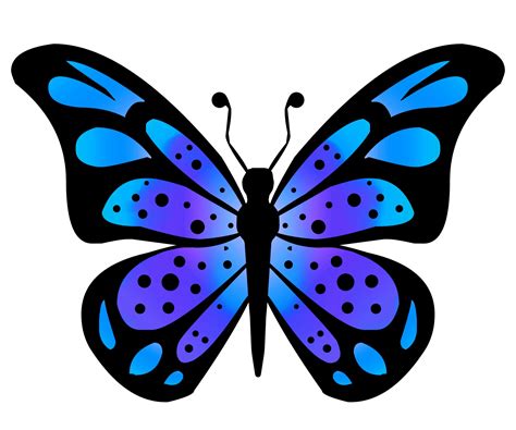 Butterfly Drawings With Color Clip Art Library