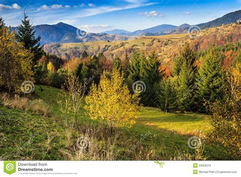 Autumn Mountain Landscape With Mixed Forest Stock Photo Image Of