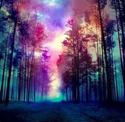 Colorful Forest Magical Forest Scenery Pictures