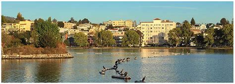 Alameda Family Law Attorney  Dominion Law Group, LLC