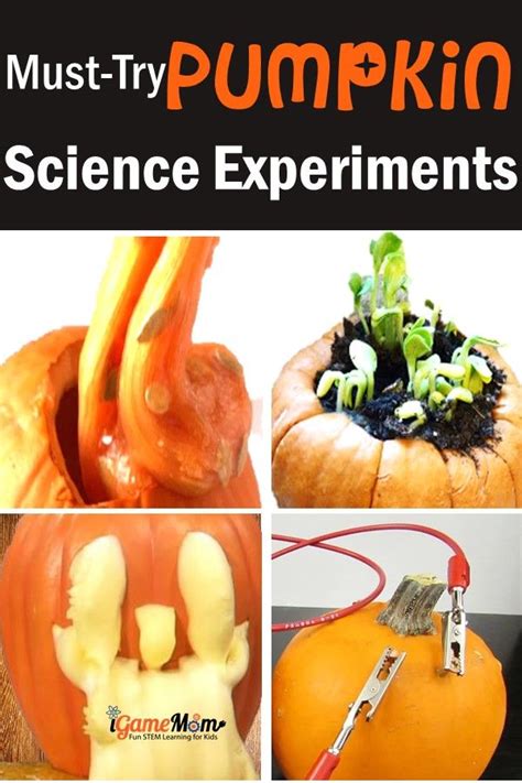 9 Pumpkin Science Activities For Kids