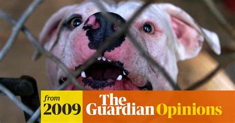 Breeding Out Aggression In Dogs Dave Hill The Guardian