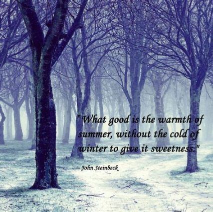 40 ideas quotes summer sunshine winter | John steinbeck quotes