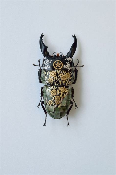 Pin By Lilian On Japan Bug Art Insect Art Insects
