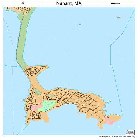 Nahant Massachusetts Street Map 2543615