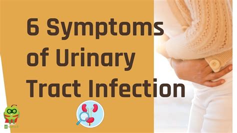 Symptoms Of Urinary Tract Infection Healthyho Youtube