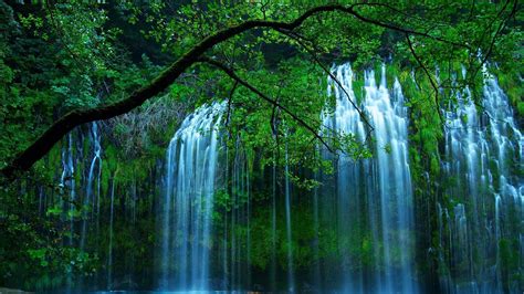Download Wallpaper 1600x900 Waterfall Trees For Widescreen 169 Hd