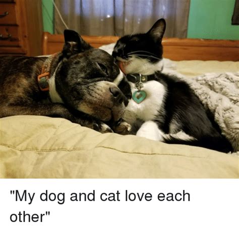 🔥 25 Best Memes About Dog And Cat Love Dog And Cat Love Memes