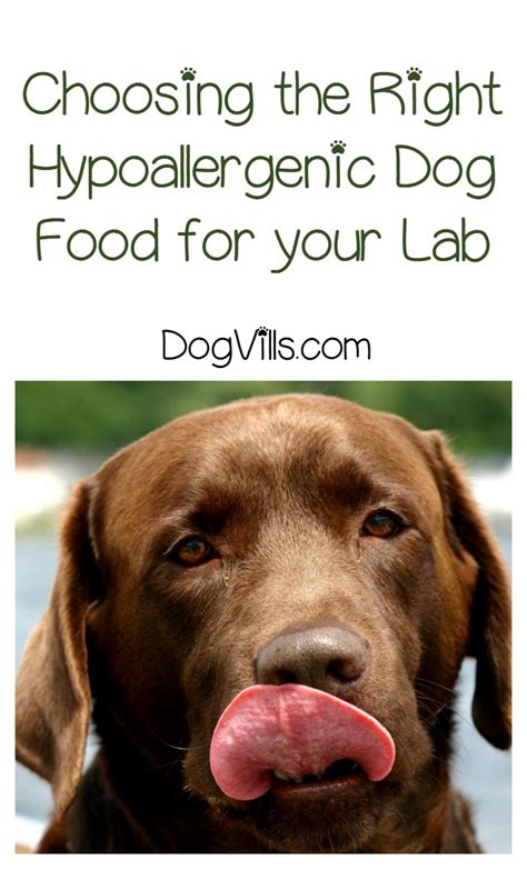 Free uk delivery on all orders over £35! Best Hypoallergenic Dog Food for Labs