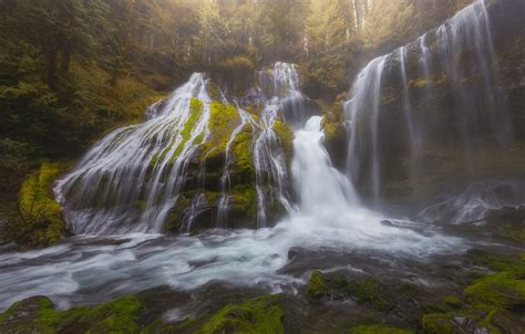 Wallpaper Forest Waterfall Cascade Washington