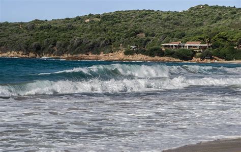 Corsican Maquis Beach Free Photo On Pixabay Pixabay