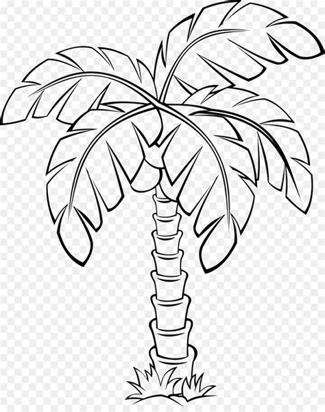Download High Quality Palm Tree Clipart Outline Transparent Png Images