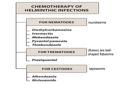 Anthelmintics Drugs Bpharmacy 3rd Year 2nd Sem Medicinal Chemistry