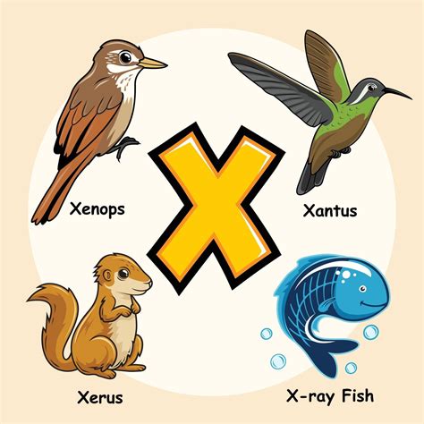 Animal Com A Letra X