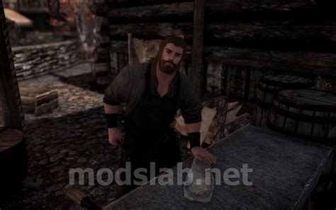 Download 500 Npc Jampion Npcs Male Npc Overhaul For Skyrim Se Ae