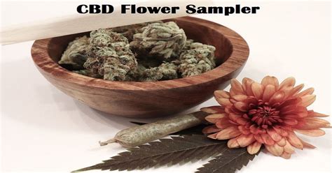 Mobile searches for store open near me (such as, grocery store open near me and auto parts store. CBD Flower Sampler - The 5 Best CBD Flower Sample Packs ...