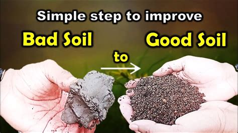 Improving Clay Soil Into Best Potting Mix And Potting Soil For