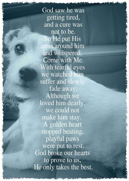 Pin By Paula Martinez On Furry Friends Dog Poems Dog Loss Quotes