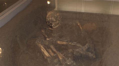 縄文時代の女性の人骨も安城市歴史博物館の貴重な展示の数々 弥生時代の壷には“当時の風習”らしきもの 東海テレビnews
