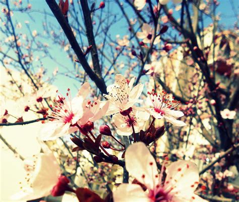 A Springtime Breeze Photograph By Ioanna Papanikolaou Fine Art America