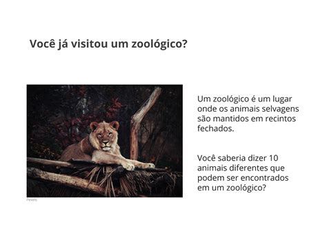 Plano De Aula Sobre Os Animais 3 Ano Fundamental