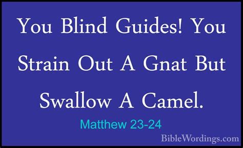 Matthew 23 Holy Bible English