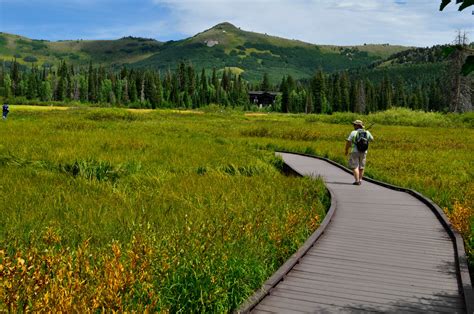 Silver Lake Interpretive Trail Your Hike Guide