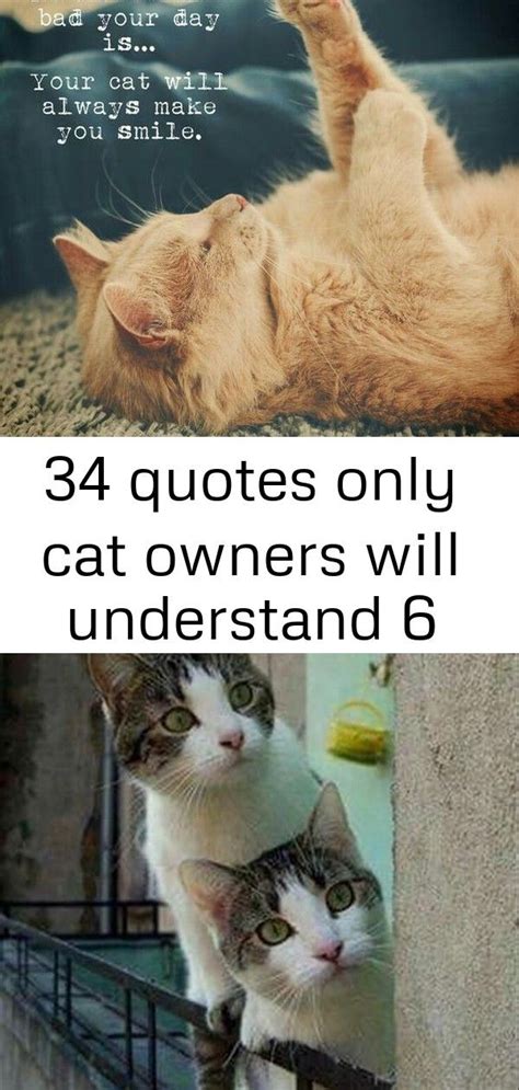 34 Quotes Only Cat Owners Will Understand Appreciate