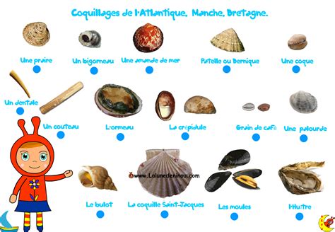 Infos sur » noms des coquillages » Vacances - Arts- Guides Voyages