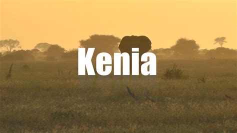 Kenia glänzt mit imposanten landschaften, die wohl unterschiedlicher nicht sein können: Kenia Safari - YouTube