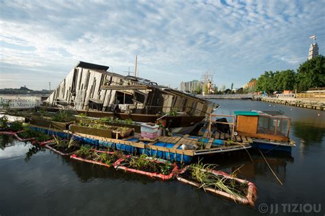 Native plants and trees, wetland seed mixes, and; Wetlands and WetLand in the city - Schuylkill Center for ...