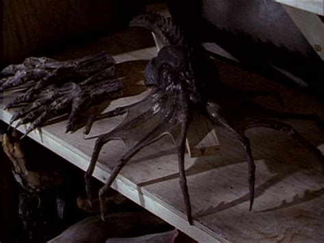 Royal Facehugger Monster Moviepedia Fandom Powered By Wikia