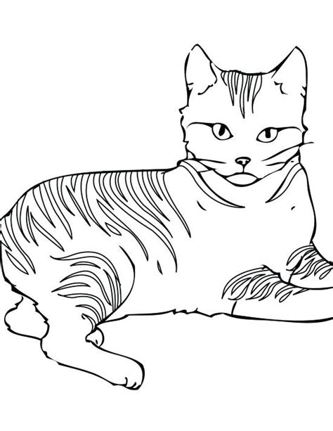Detailed Cat Coloring Pages At Free Printable
