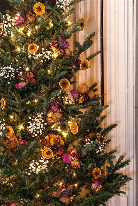 How to make flowers with orange.learn an easy and free way to do carved fruit with a delicious presentation. How to Make Dried Citrus Christmas Ornaments | Orange ...