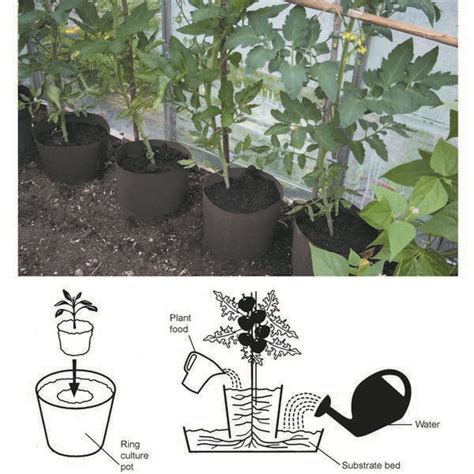 Ring Culture Pots Garden Watering Systems Kings Seeds