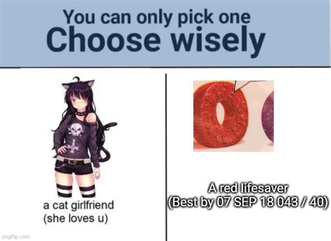 Choose Wisely Imgflip