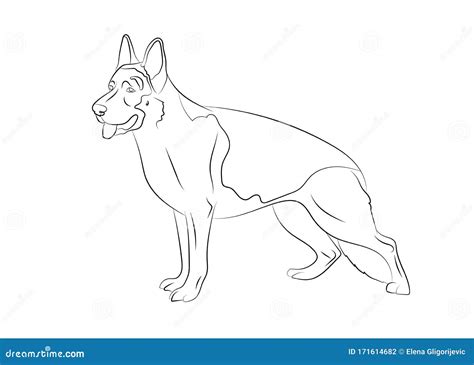 German Shepherd Dog Vector Outline Stock Illustration Realistic Lines