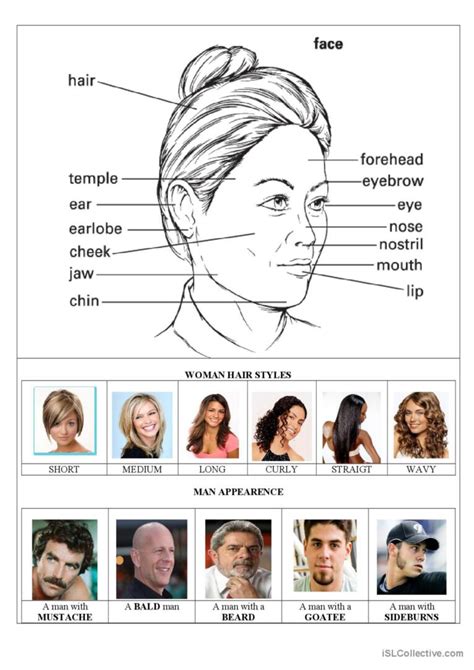 The Face Parts And Woman Hairstyles English Esl Worksheets Pdf And Doc
