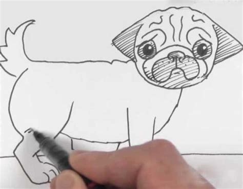 How To Draw A Pug Cute Very Easy And Separately His Face