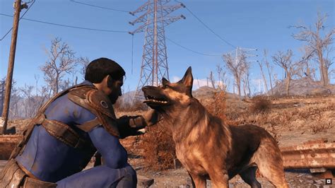 Fallout 4 Conoce Al Verdadero Dogmeat • Gamerfocus
