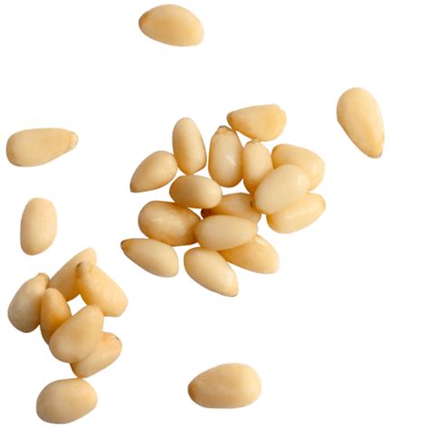 Pine Nuts Png Transparent Image Download Size 500x500px