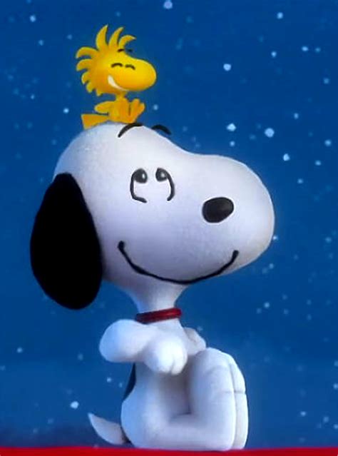 Image Result For Woodstock The Peanuts Snoopy Wallpaper Snoopy And