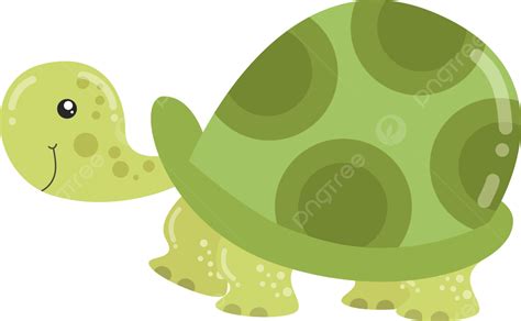 Simple Turtle Cartoon