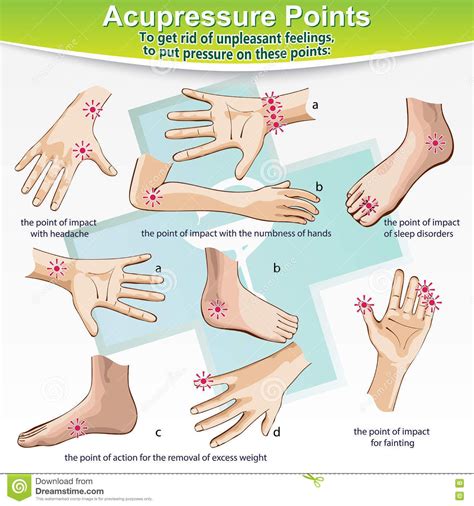 Massage Therapy Acupressure Points Visual Aids Vector Illustration Independent Medical