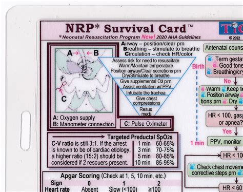 Nrp Neonatal Resuscitation Program Survival Card Quick Reference Guide Laminatedhole