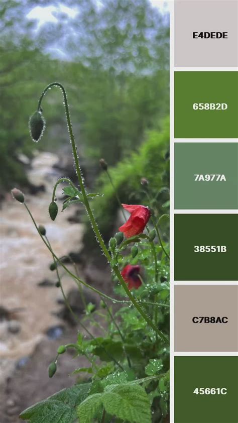 Beautiful Color Palettes Inspired By Nature Nature Color Palette