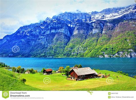 We use cookies to ensure that we give you the best experience on our website. Vista Svizzera Dell'azienda Agricola Della Riva Del Lago ...