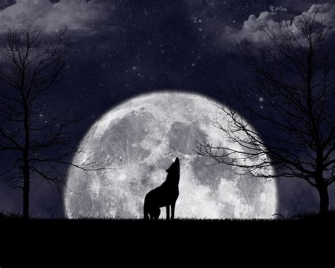 Drawing wolf howling pictures 69 ideas. Wolf Howling At The Moon Wallpapers - Wallpaper Cave