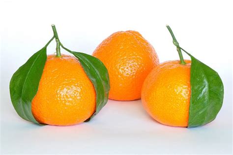 マンダリンオレンジの旬の時期、栄養、食べ方 グルマン